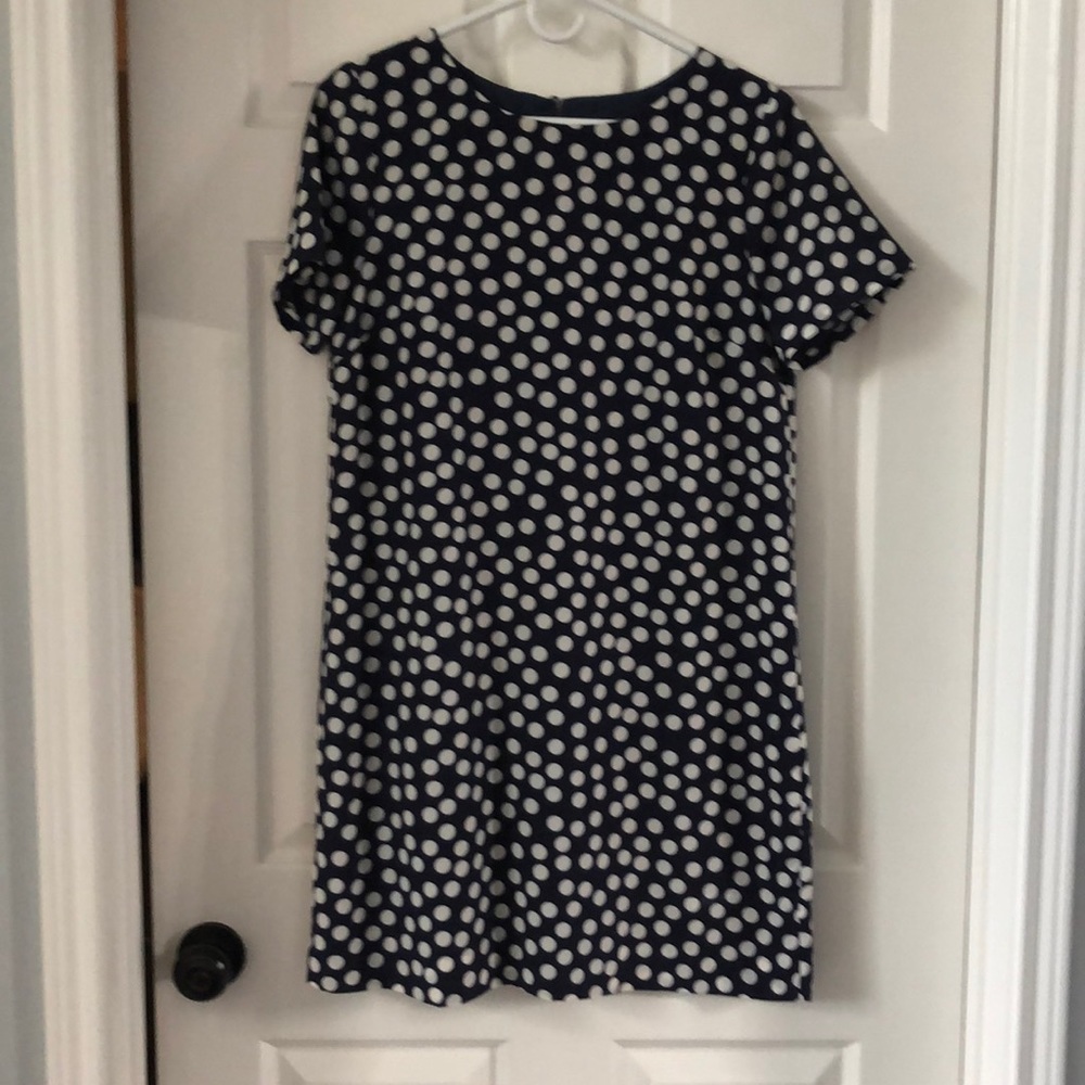 Jcrew polka dot dress